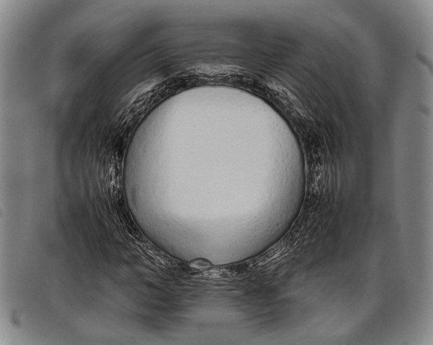 X0000097960966200804141023