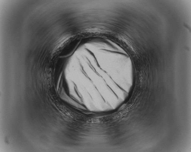 X0000097960968200804141023