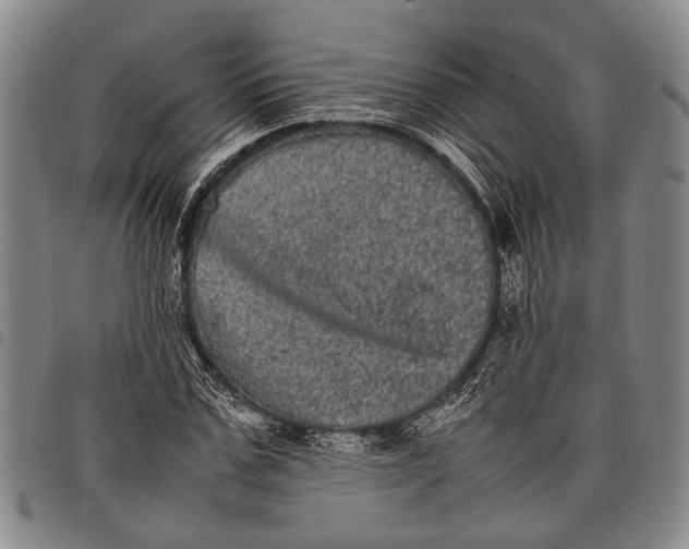 X0000097960971200804141023