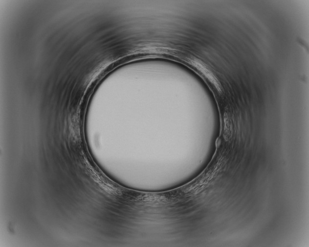 X0000097960972200804141023