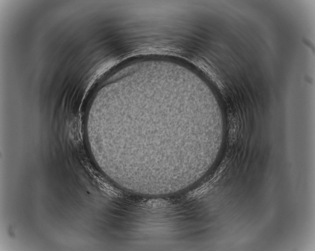 X0000097960974200804141023