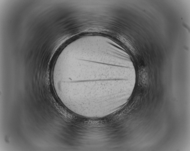 X0000097960976200804141023