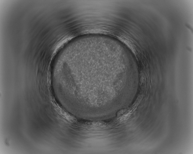 X0000097960979200804141023
