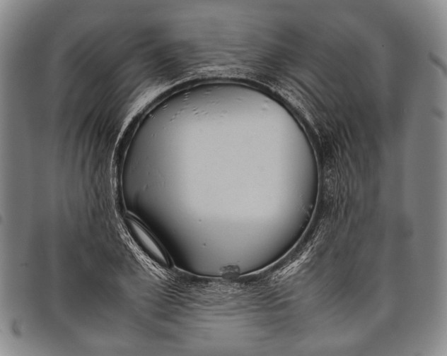 X0000097960981200804141023