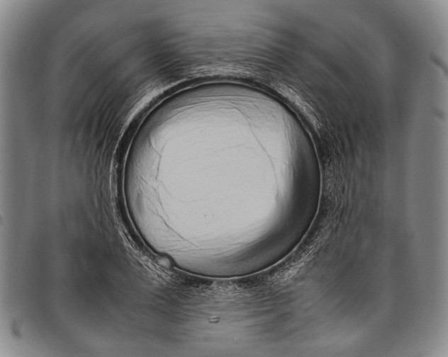 X0000097960983200804141023