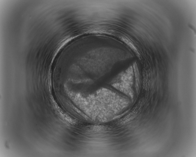 X0000097960984200804141023