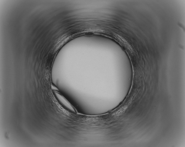 X0000097960985200804141023