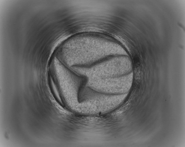 X0000097960987200804141023
