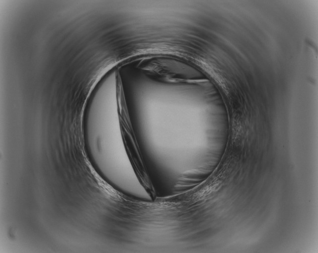 X0000097960988200804141023