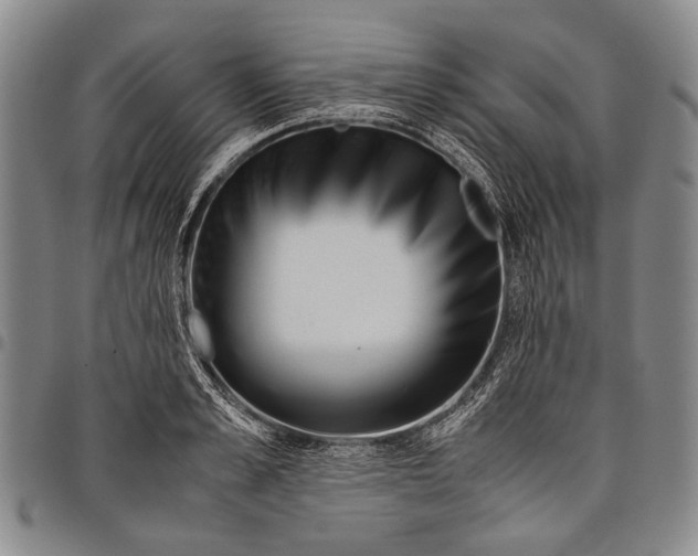 X0000097960989200804141023
