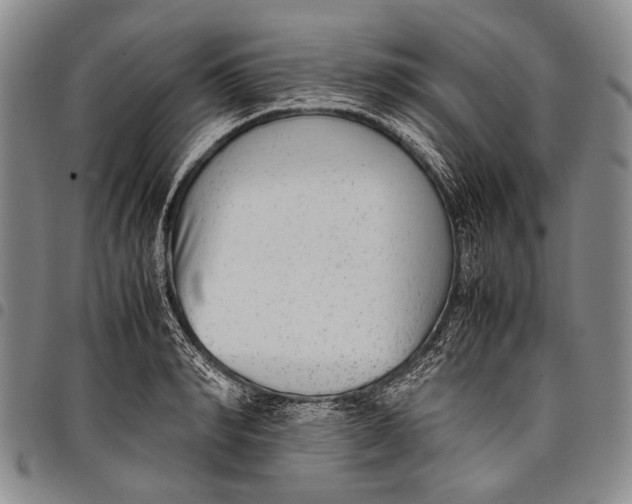 X0000097960990200804141023