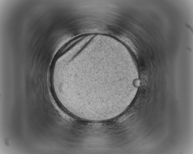 X0000097960991200804141023