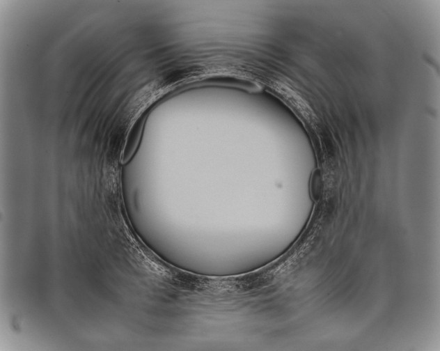 X0000097960993200804141023