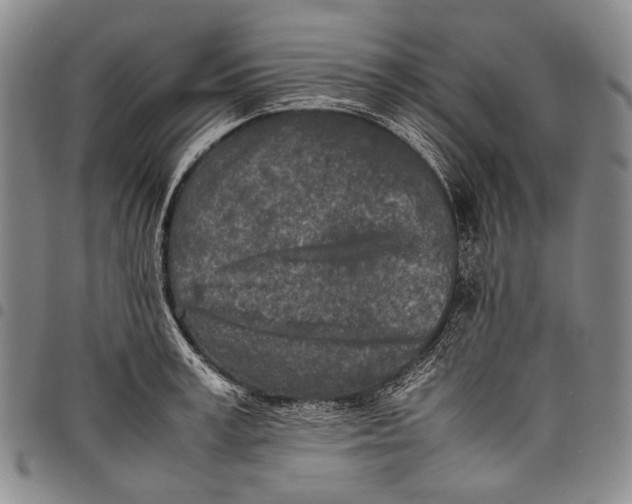 X0000097960995200804141023