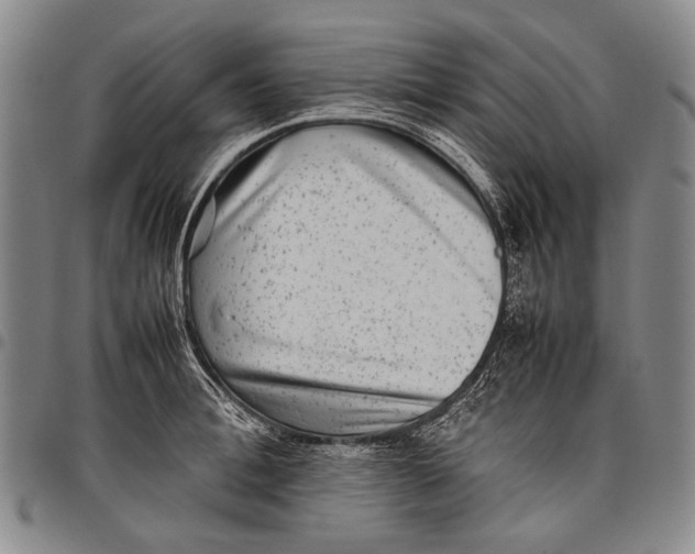 X0000097960996200804141023