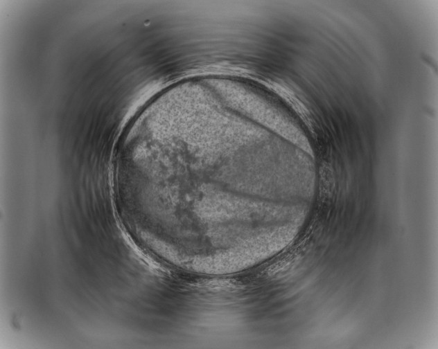 X0000097960998200804141023