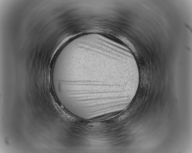 X0000097961000200804141023