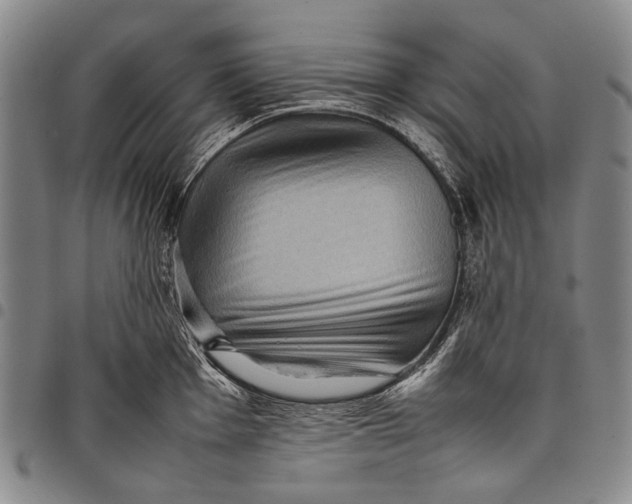 X0000097961001200804141023