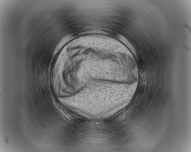 X0000097961002200804141023
