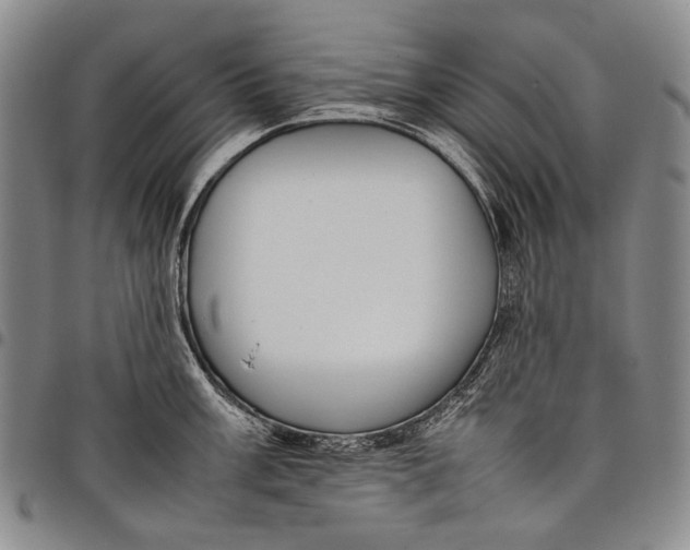 X0000097961003200804141023