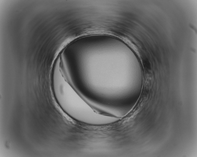 X0000097961005200804141023