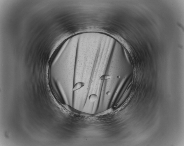 X0000097961006200804141023