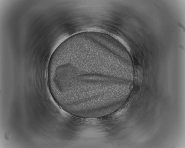 X0000097961007200804141023