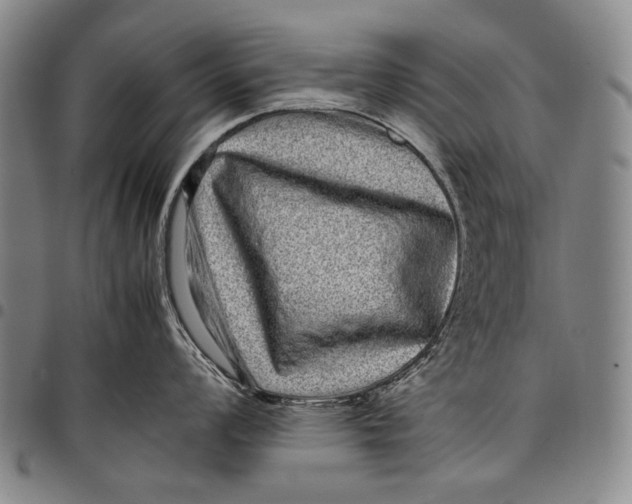 X0000097961008200804141023