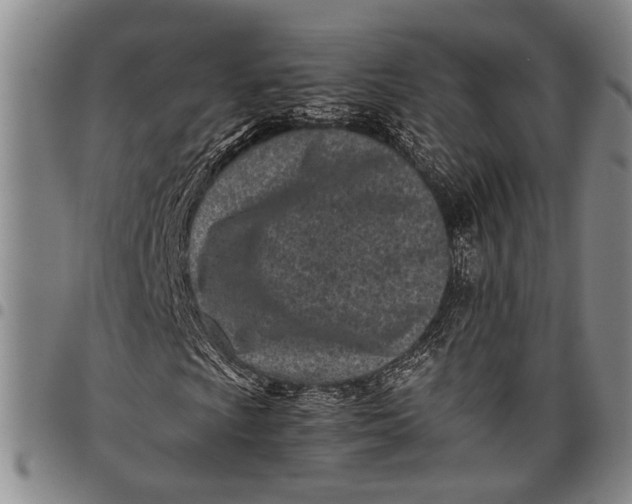 X0000097961009200804141022