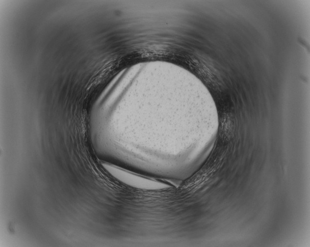 X0000097961012200804141022