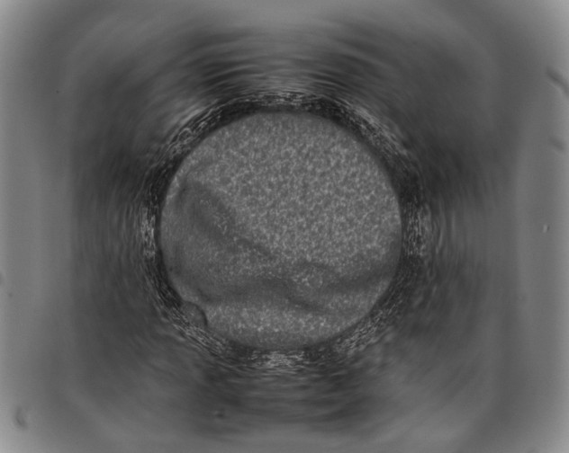 X0000097961013200804141022