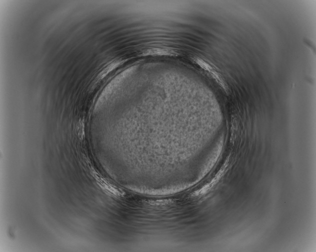 X0000097961017200804141022
