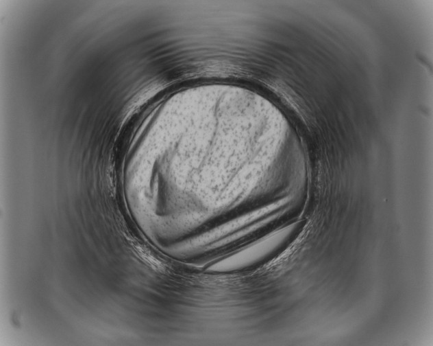 X0000097961018200804141022