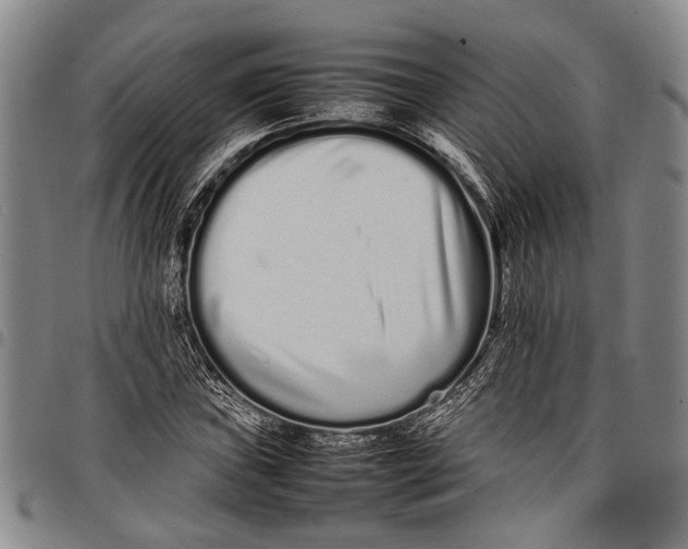 X0000097961019200804141022