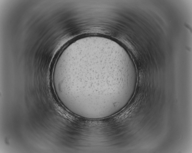 X0000097961020200804141022
