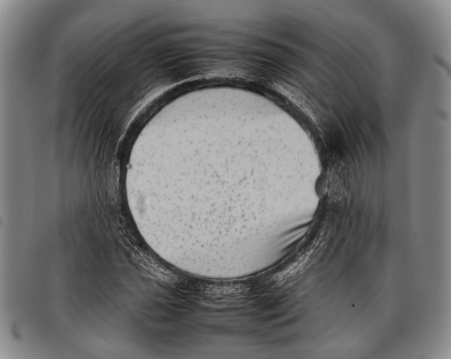 X0000097961021200804141022