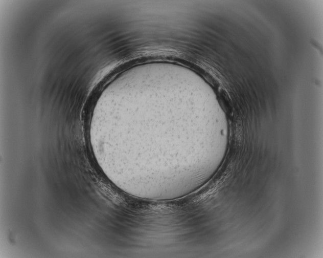 X0000097961022200804141022
