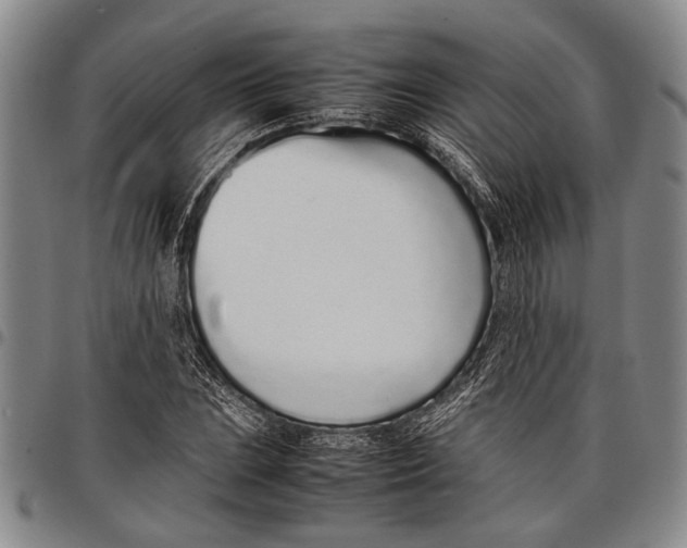 X0000097961023200804141022