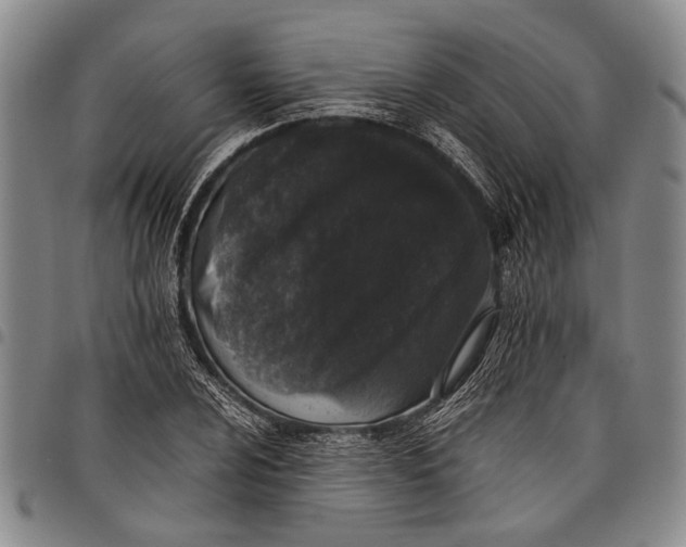 X0000097961024200804141022