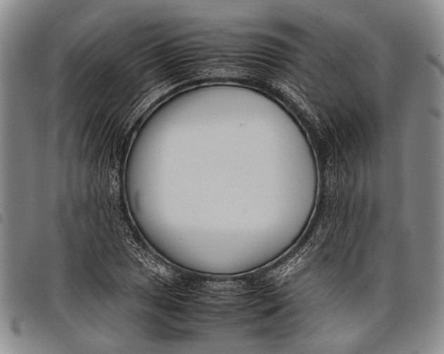 X0000097961025200804141022