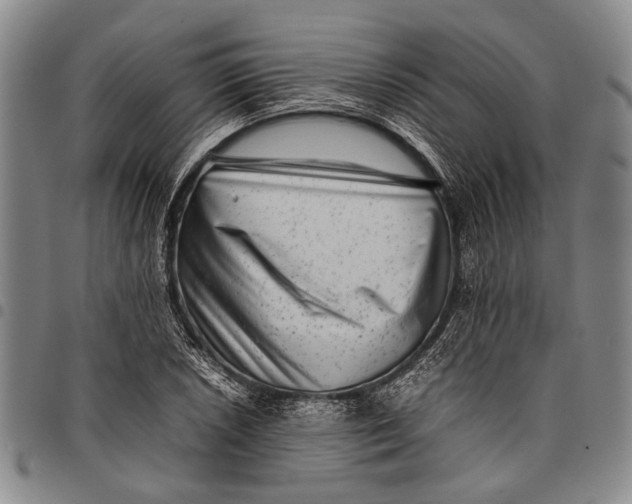 X0000097961026200804141022