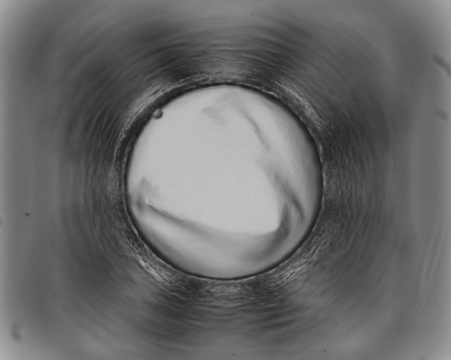 X0000097961027200804141022
