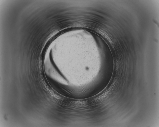 X0000097961029200804141022