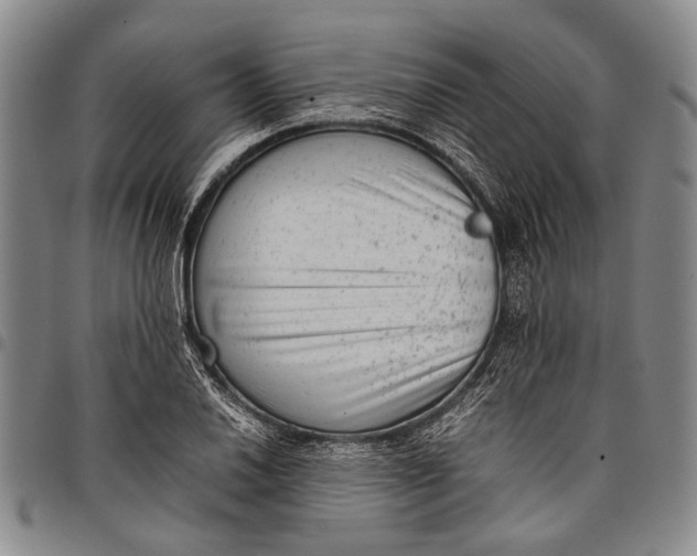 X0000097961030200804141022