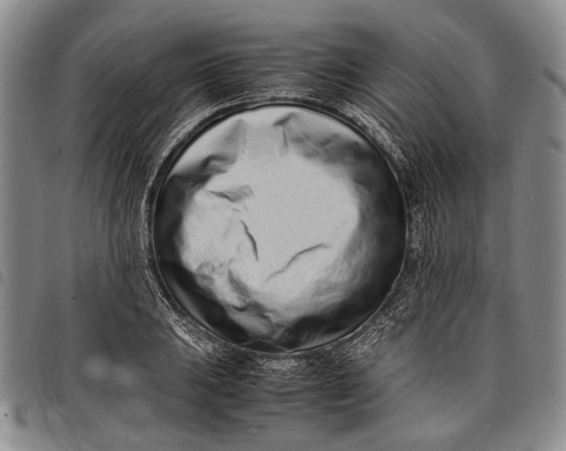 X0000097961031200804141022