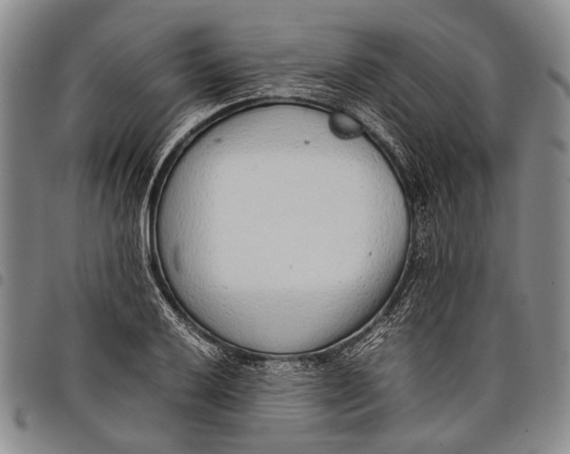 X0000097961032200804141022