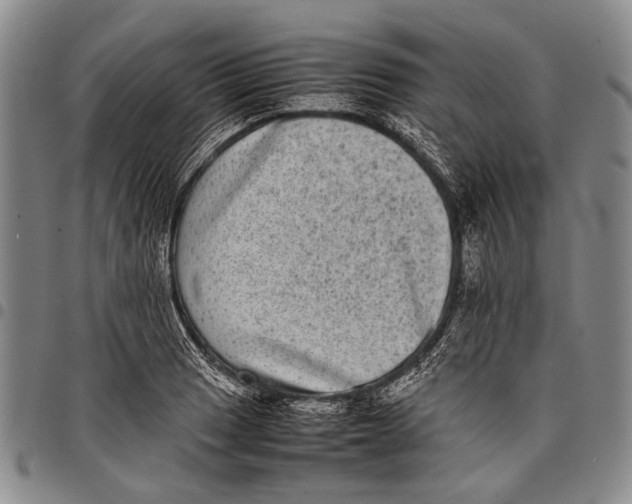 X0000097961033200804141022