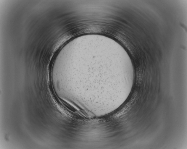 X0000097961034200804141022