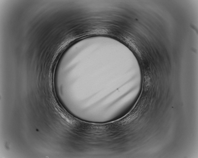 X0000097961035200804141022