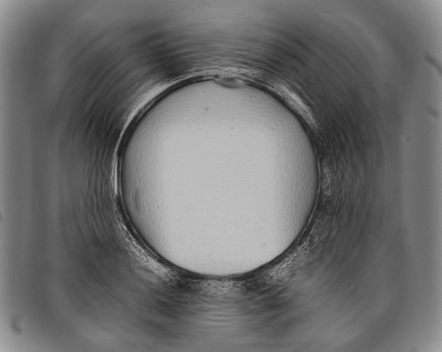 X0000097961036200804141022